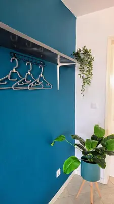 a blue wall with hangers and a plant in a room at Celina's Cozy Studio & Beach Life in One in Santa Maria