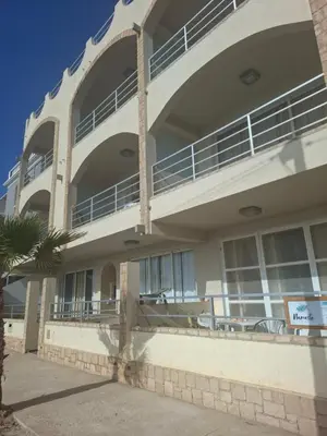 a large building with a palm tree in front of it at Surfing Ocean View Appartment in Sal Rei