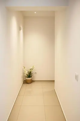 a hallway with white walls and a potted plant at Cantinho dos Dias in Espargos