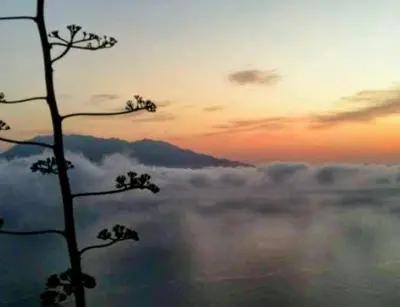 a silhouette of a tree in the sky with clouds at Djabraba's Trail Triple SUITE in Vila Nova Sintra