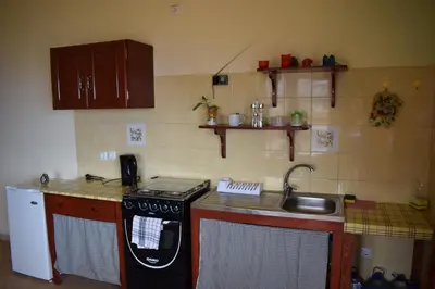 a small kitchen with a stove and a sink at Apartamento Fritzi in Ponta do Sol