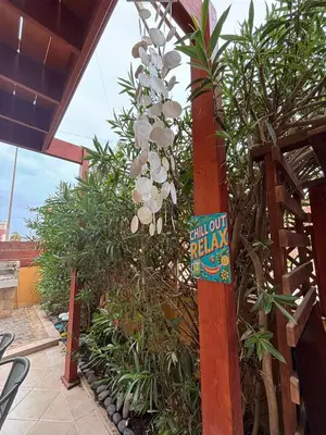 a sign that says chill out palms hanging from a tree at Casa Paradise in Santa Maria