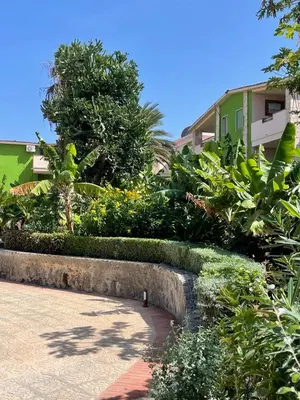 a garden with bushes and trees and a building at Djadsal Moradias - Near the ocean in Santa Maria