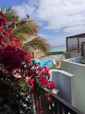 a balcony with flowers and a view of the beach at Casa Anzso Ocean view Porto Antigo I in Santa Maria