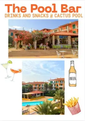 a book cover of the pool bar drinks and snacks a cactus pool at Cosy 2 Bed Apartment Vila Verde Santa Maria in Santa Maria