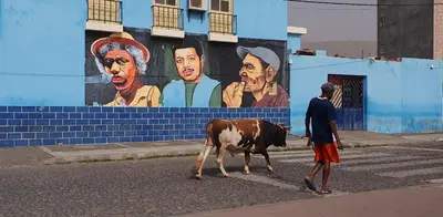 a man walking a cow down a street with a mural at Residência Alto Saco, Ocean-view double room in Tarrafal