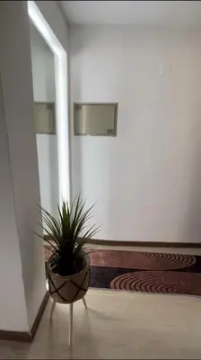 a potted plant in a room with a mirror at Plateau- Sea View Apartment in Praia