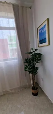 a potted plant sitting in front of a window at Sal Casa VILLAGE in Santa Maria