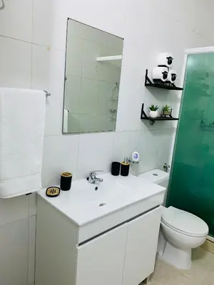 a bathroom with a sink and a toilet and a mirror at Large 1 bedroom Apt with sofa bed in Santa Maria