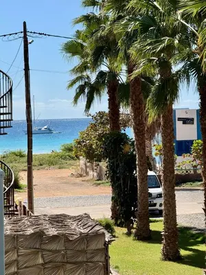 a car parked next to a beach with palm trees at Estrela Mar - Wi-Fi included in Santa Maria