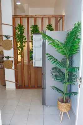 a plant in a pot next to a refrigerator at T1 Mindelo City Center in Mindelo