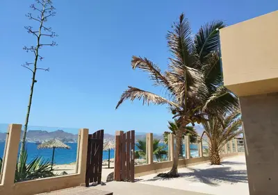 a view of the beach from a building with palm trees at MonteCara View T1 in Mindelo