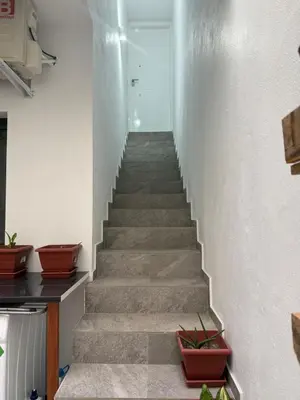 a staircase in a house with some plants at Castro AP in Mindelo