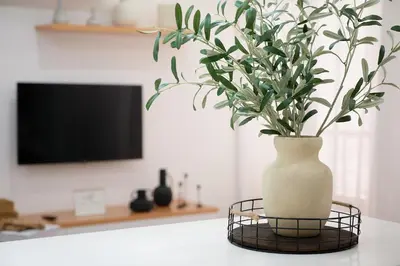 a vase sitting on a table with a plant in it at Empire Home! in Praia