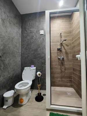 a bathroom with a toilet and a shower at Casa Nova in Ribeira Grande