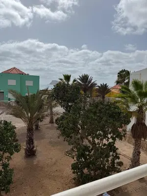 a group of palm trees in a yard with buildings at Murdeira V159D Duplex by RPG Group in Beirona