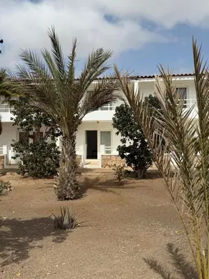 a palm tree in front of a white building at Murdeira V159D Duplex by RPG Group in Beirona