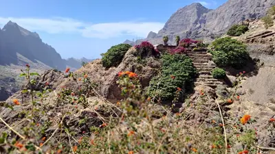 a set of stairs on the side of a mountain at Kasa surf in Porto Novo