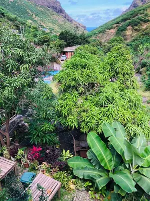 a view of a garden with benches and plants at Residencial Palice