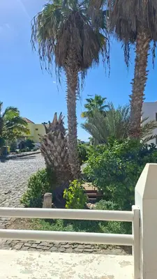 a white fence on a beach with palm trees at Star House Murdeira, Sal Island, Cape Verde in Beirona