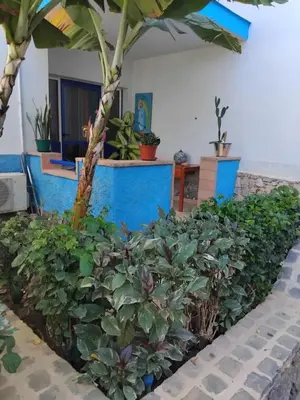 a garden with plants in front of a house at Moradias No Stress in Santa Maria
