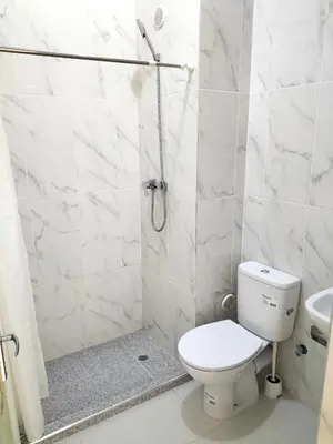 a white bathroom with a toilet and a shower at Cozyapartment Povoacao, Rbra GrandeSanto Antao in Ribeira Grande
