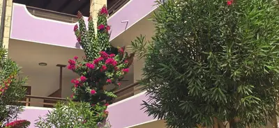 a purple building with flowers and plants on it at Nature Breeze in Sal Rei