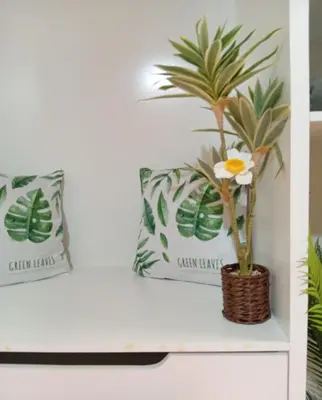 a plant in a basket on a shelf with two pillows at Four Palms Guest House in Praia