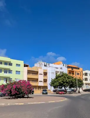 a city street with buildings and flowers on the street at Cozy 3 Bdr at Praia Da Laginha in Mindelo