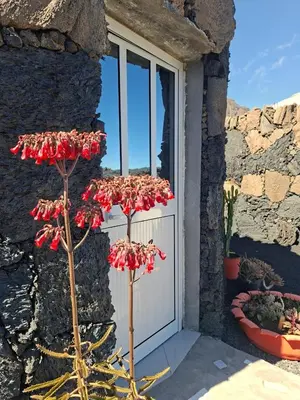 a pair of red flowers in front of a door at Funco Du Santos in Portela