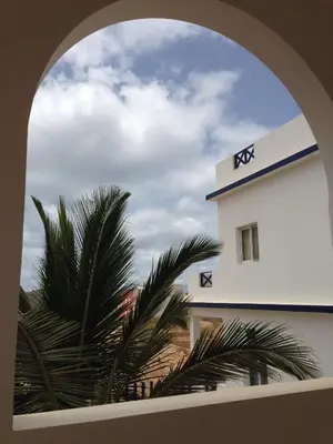 a building with a palm tree in front of it at Maio Relax in Vila do Maio