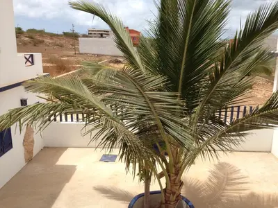 a palm tree in a blue pot on a balcony at Maio Relax in Vila do Maio