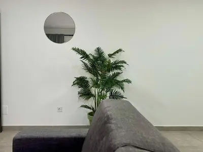 a plant in a room with a couch and a mirror at Praça Presidente - By Bobbywashere in Santa Maria