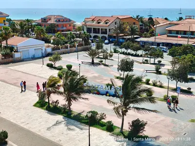 a group of people walking around a park with palm trees at Studio Apartment in the Center in Santa Maria