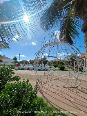 a metal sculpture on a beach with a palm tree at Studio Apartment in the Center in Santa Maria