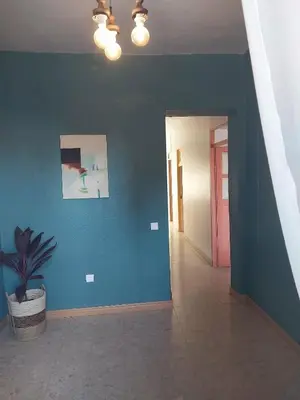 a hallway with a blue wall and a potted plant at Sol, Terra e Mar- No coração do Plateau in Praia