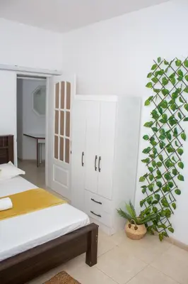 a bedroom with a bed and a potted plant at Morabeza T2 City Center in Mindelo