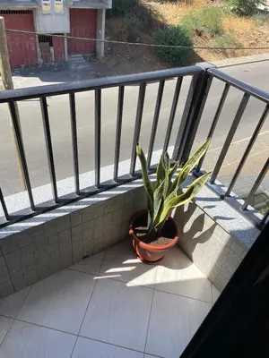 a plant in a pot sitting on a balcony at Lovely comfortable apartment in Praia in Praia