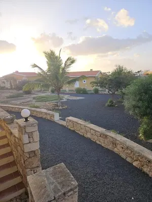 a driveway with a stone wall and a house at Maio Sweet Tartaruga in Vila do Maio
