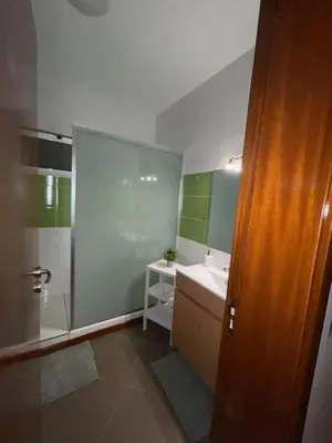 a bathroom with a sink and a shower at Apartamento Vieira in Santa Maria