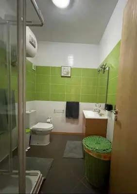 a green bathroom with a toilet and a sink at Apartamento Vieira in Santa Maria