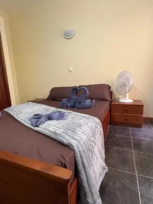 a bedroom with a bed with a blanket and a fan at P&SGuestHouse in Espargos