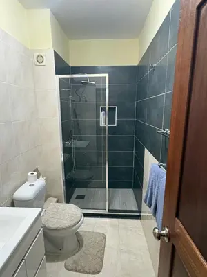 a bathroom with a shower with a toilet and a sink at P&SGuestHouse in Espargos