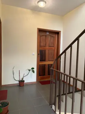 a hallway with a wooden door and a potted plant at P&SGuestHouse in Espargos