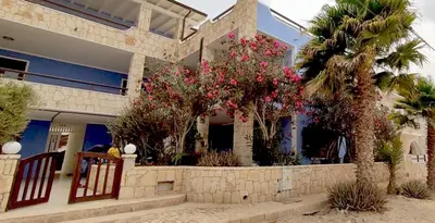a house with trees and pink flowers in front of it at Ca' Zen in Sal Rei