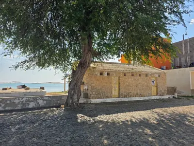 a tree in front of a brick building at The Zen Den in Sal Rei