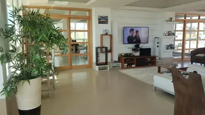a living room with two potted plants and a tv at C Varela C - Casa Branca in Praia