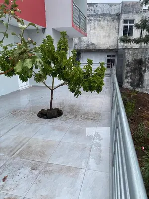 a tree in the courtyard of a building at Campo do campo ocean view in São Filipe