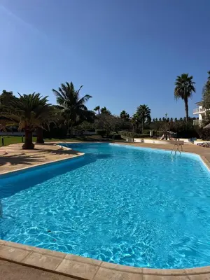 a large blue swimming pool with palm trees in the background at Vila Verde cozy studio in Prainha