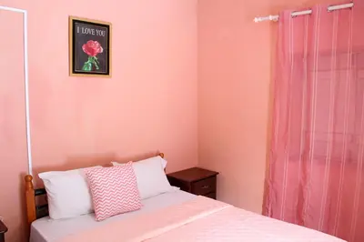 a bedroom with a bed with a pink wall at Quinta Toca do leão in Ribeira Grande